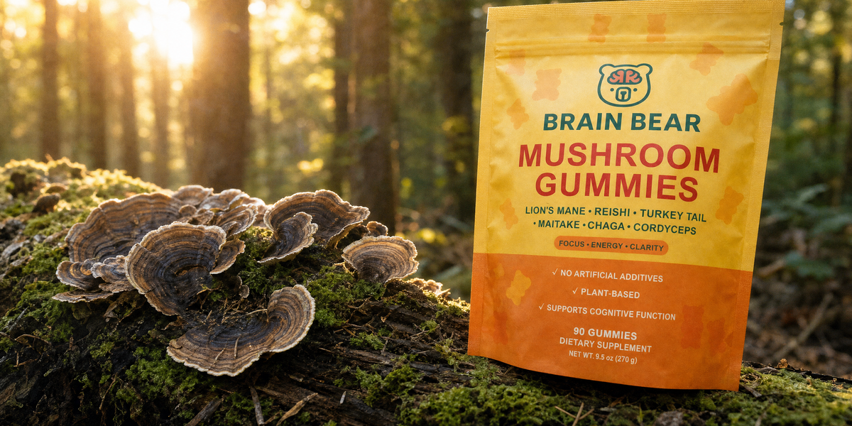 Turkey Tail Mushroom and Immune System Support