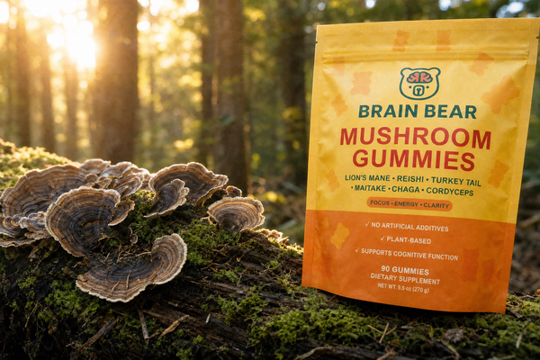 Turkey Tail Mushroom and Immune System Support