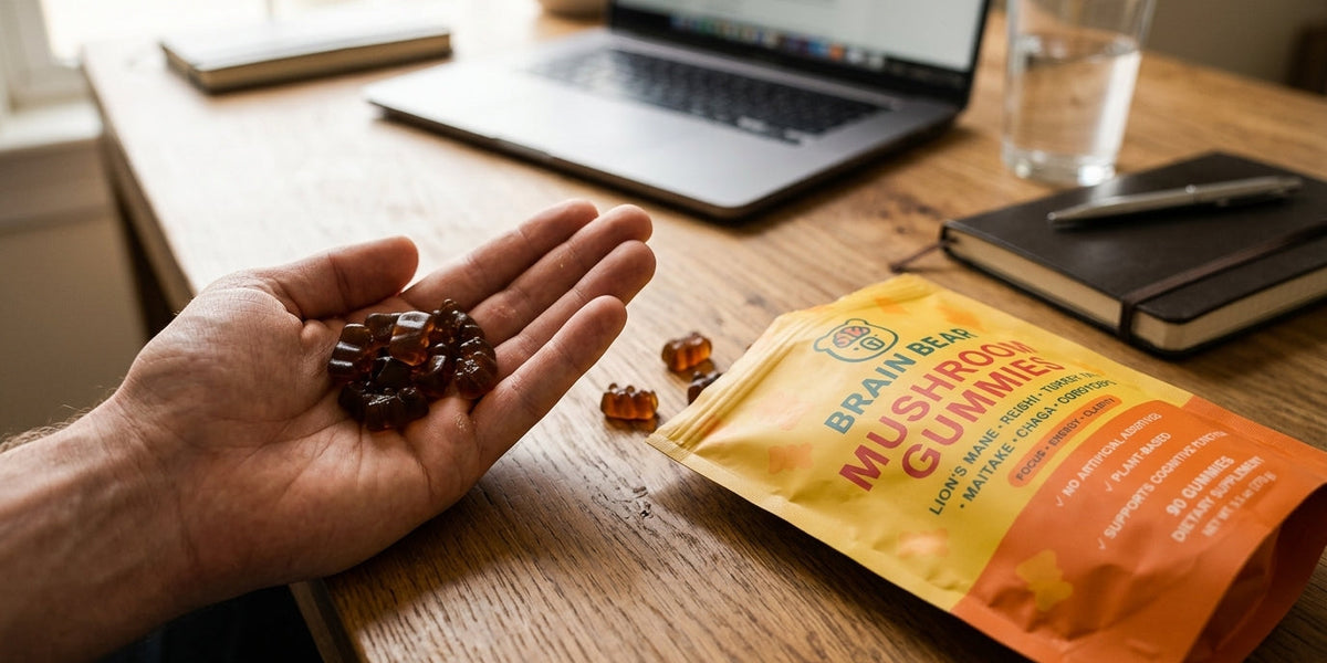Mushroom Gummies for Focus: Worth It?