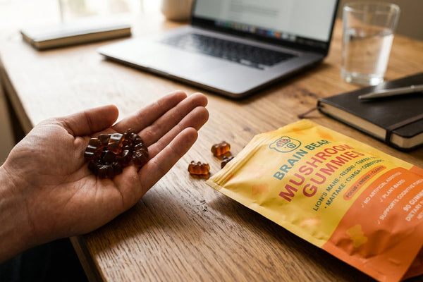 Mushroom Gummies for Focus: Worth It?