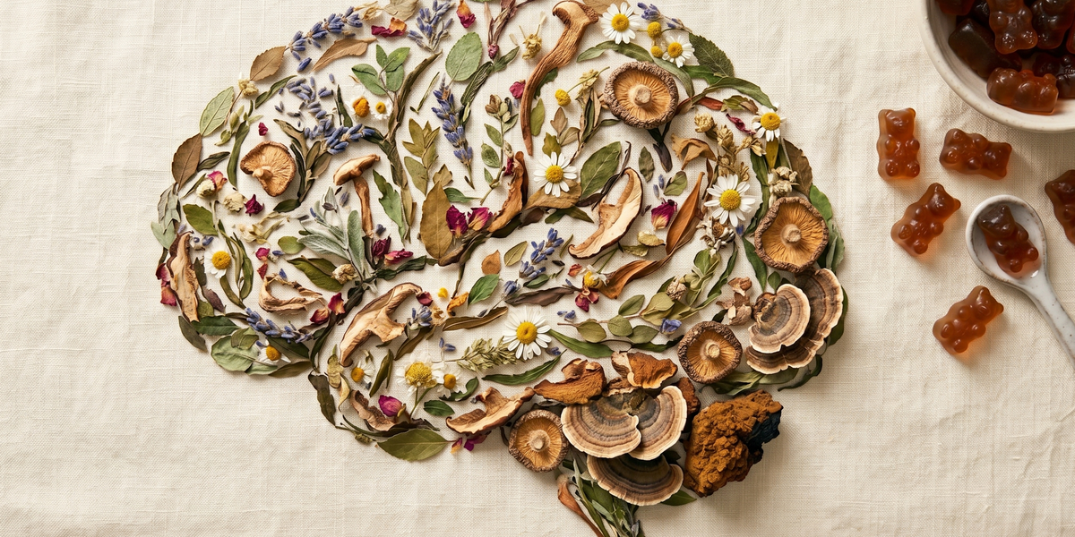 How Functional Mushrooms Support Long-Term Brain Health