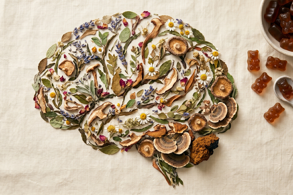 How Functional Mushrooms Support Long-Term Brain Health