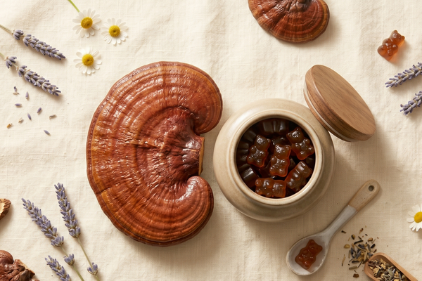 Reishi Mushroom: The Ancient Adaptogen for Modern Stress