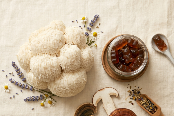 Lion's Mane and Neuroplasticity: What the Science Says